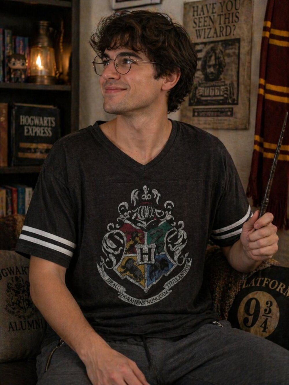 Harry Potter Adult T-Shirt - Grey Classic Four Color Hogwarts Crest Pic Size 2XL